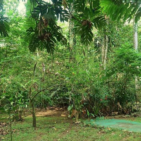 Casa Moabi Panzió Cocles Kültér fotó