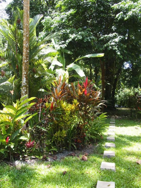 Casa Moabi Panzió Cocles Kültér fotó