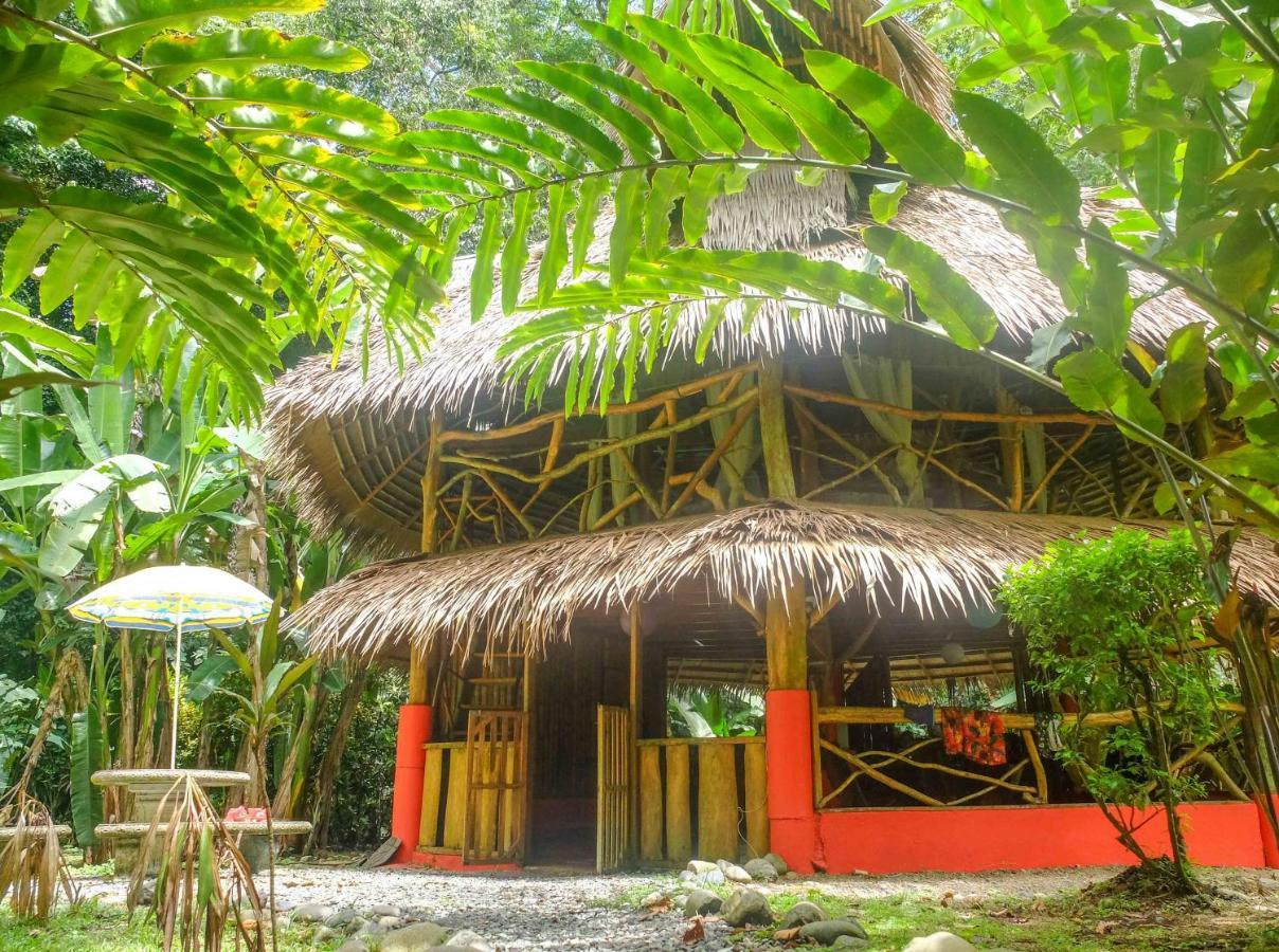 Casa Moabi Panzió Cocles Szoba fotó