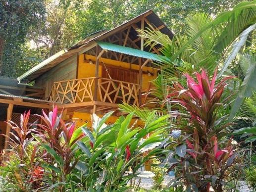 Casa Moabi Panzió Cocles Kültér fotó