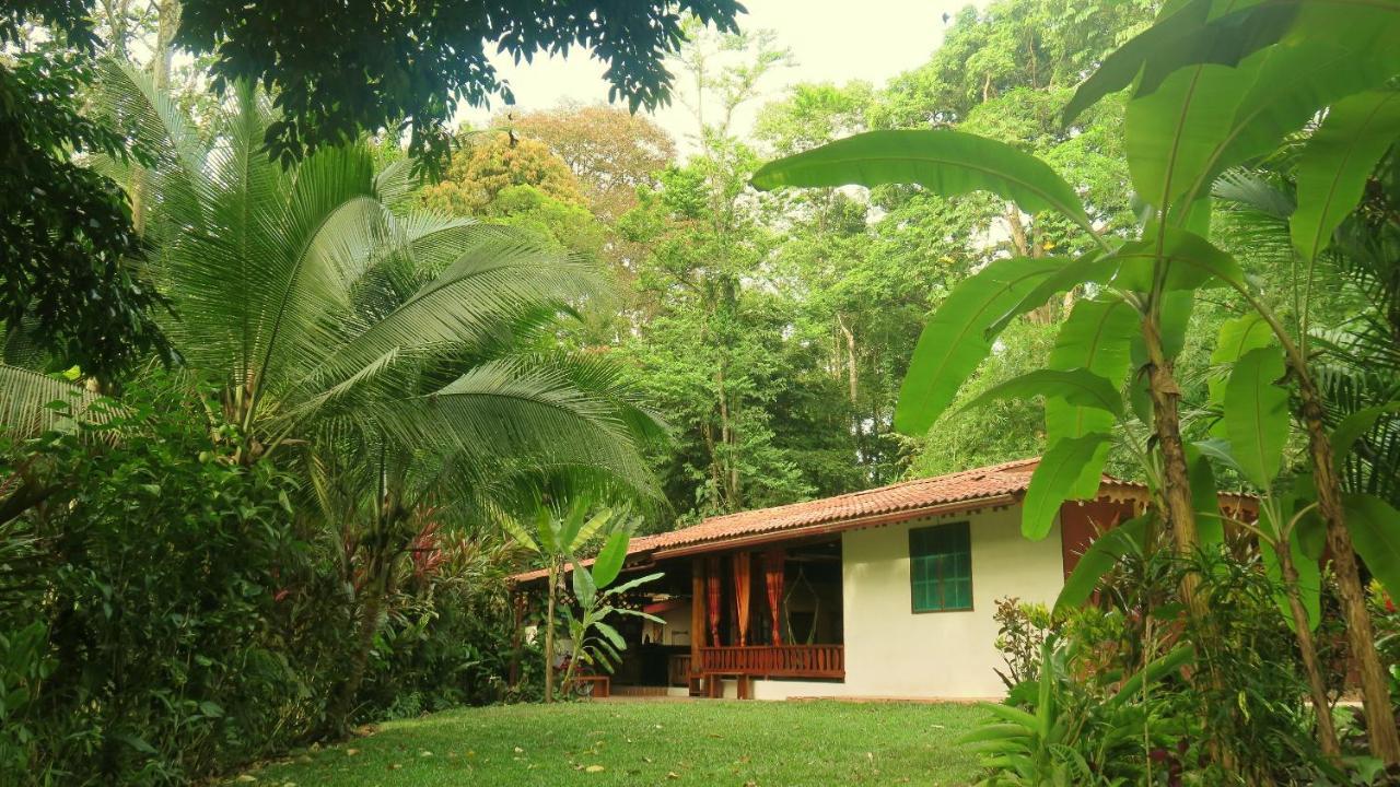 Casa Moabi Panzió Cocles Kültér fotó