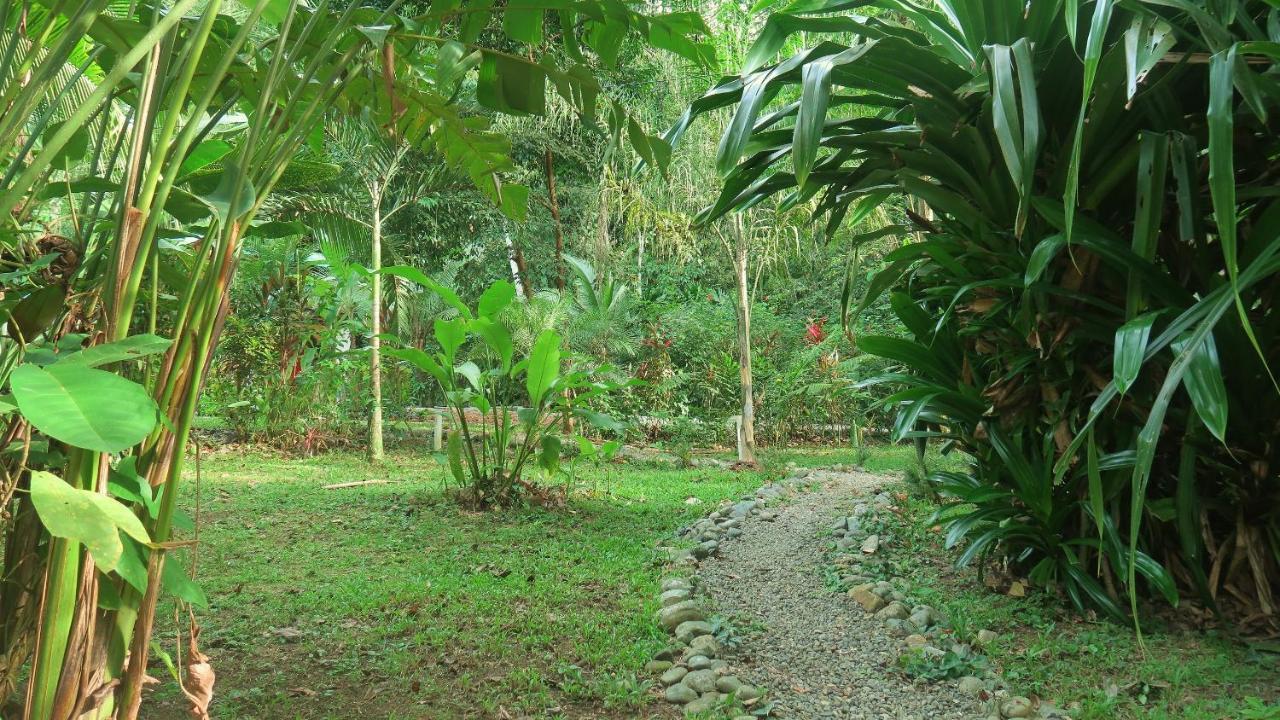 Casa Moabi Panzió Cocles Kültér fotó
