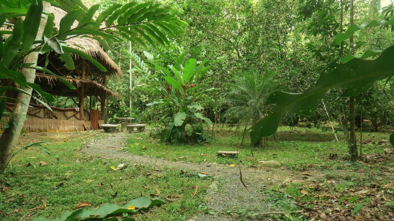 Casa Moabi Panzió Cocles Kültér fotó