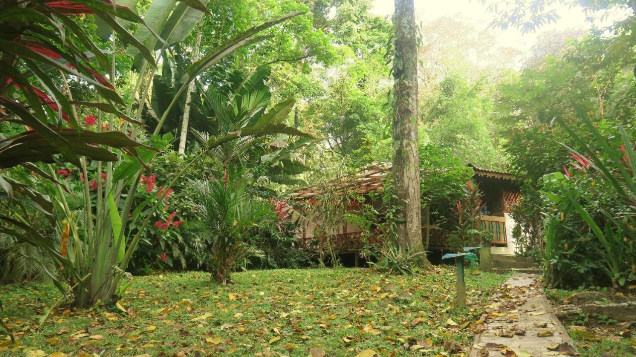 Casa Moabi Panzió Cocles Kültér fotó