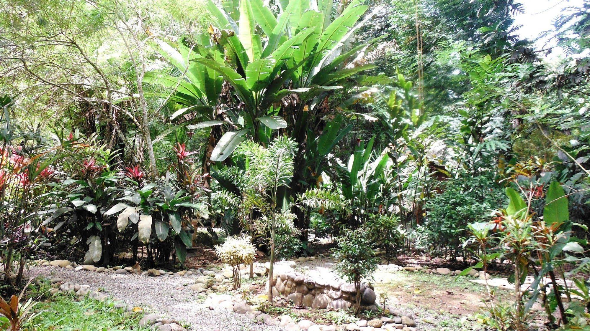 Casa Moabi Panzió Cocles Kültér fotó