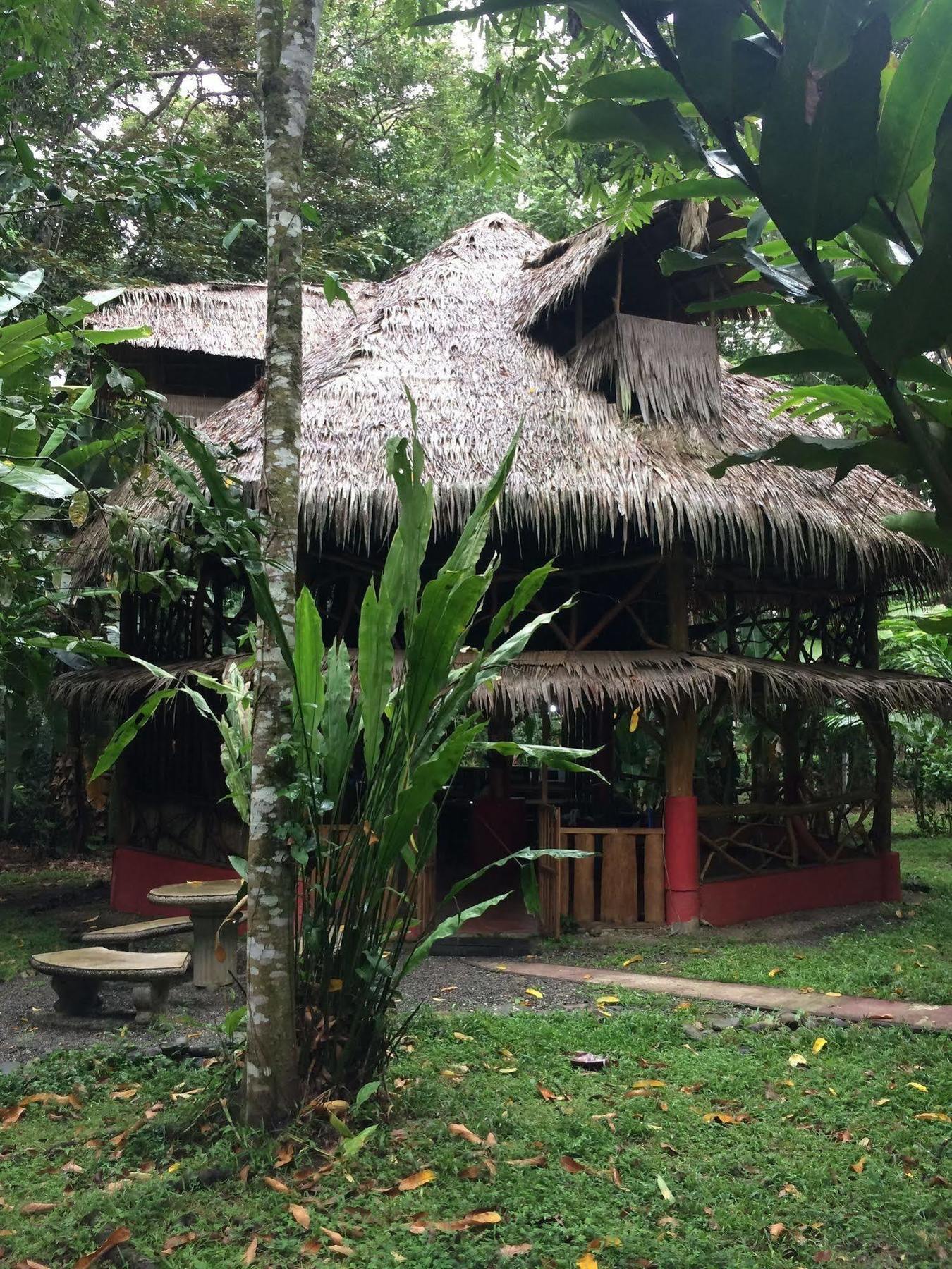 Casa Moabi Panzió Cocles Kültér fotó
