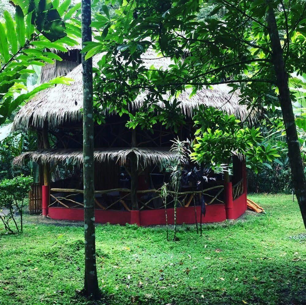 Casa Moabi Panzió Cocles Kültér fotó